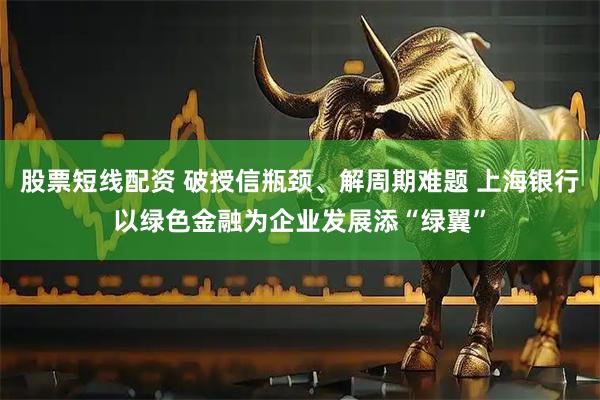 股票短线配资 破授信瓶颈、解周期难题 上海银行以绿色金融为企业发展添“绿翼”